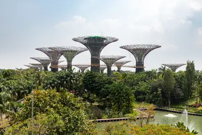 The Supertree Grove at Gardens by the Bay, Singapore